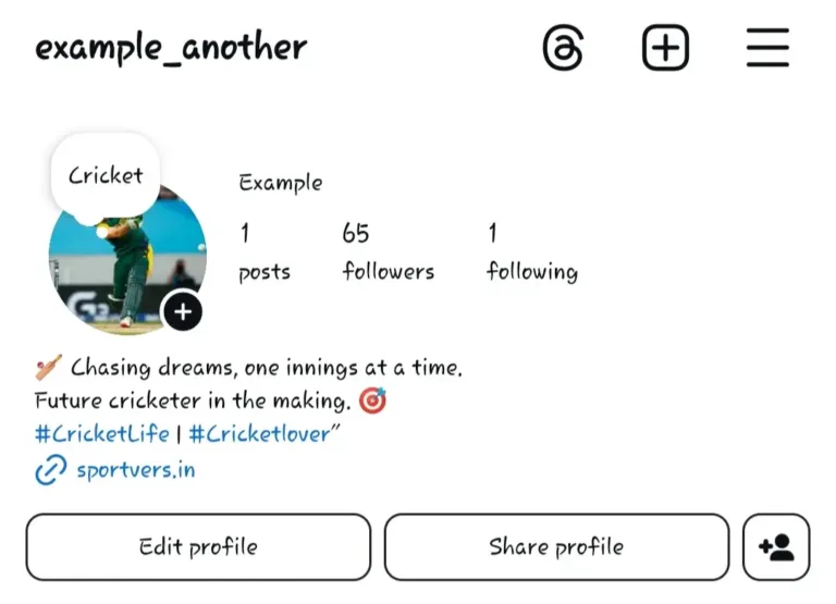 Cricket Bio for Instagram
