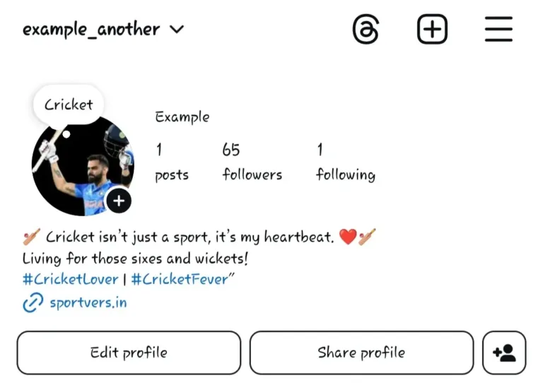 Cricket Bio’s for Instagram