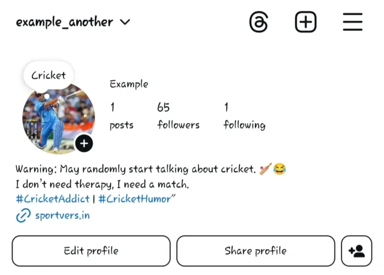 Cricket Bio’s for Instagram