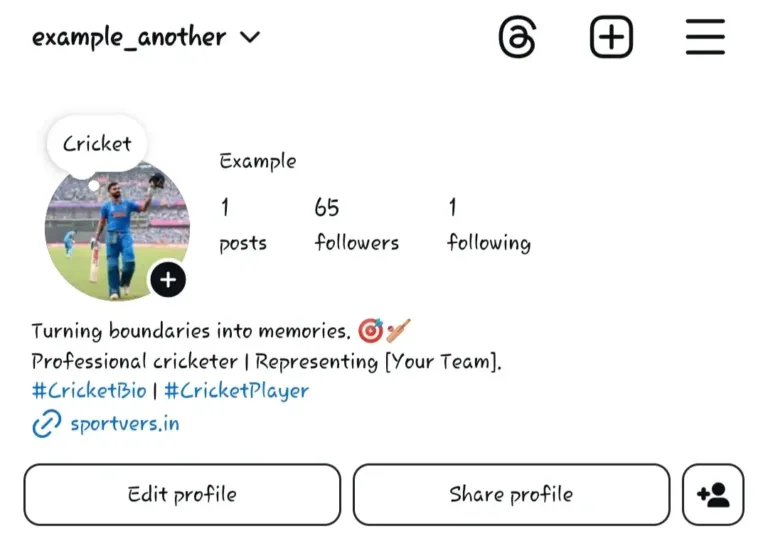 Cricket Bio’s for Instagram