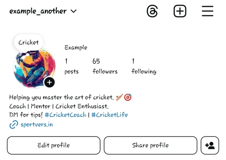 Cricket Bio’s for Instagram