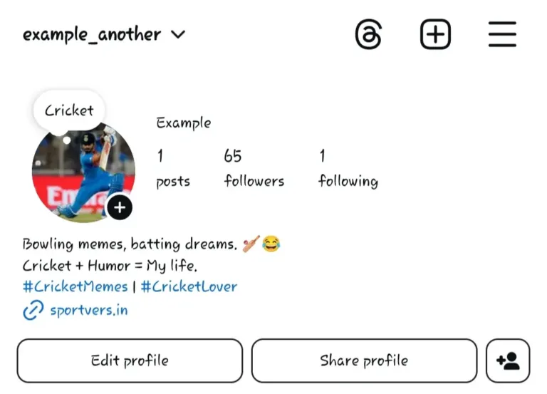 Cricket Bio’s for Instagram