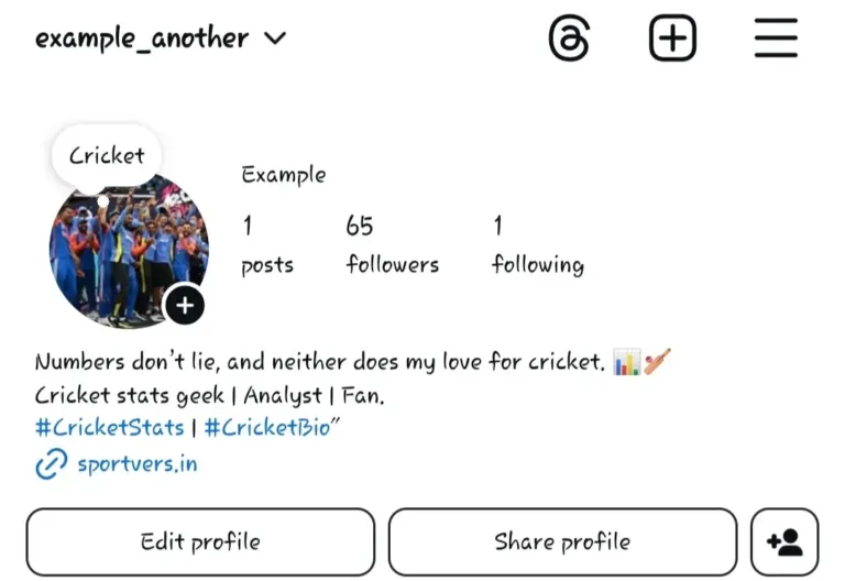 Cricket Bio’s for Instagram