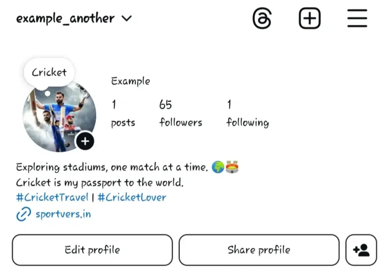 Cricket Bio’s for Instagram