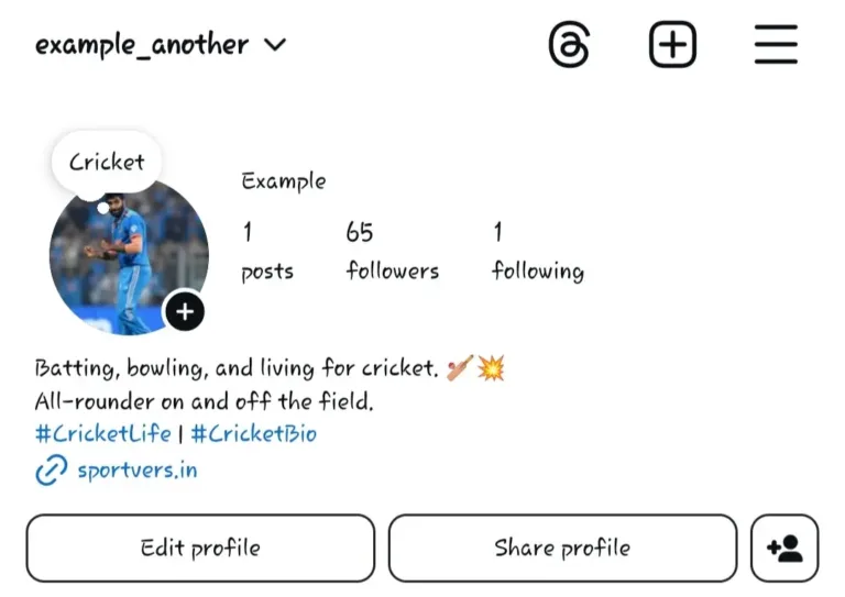Cricket Bio’s for Instagram