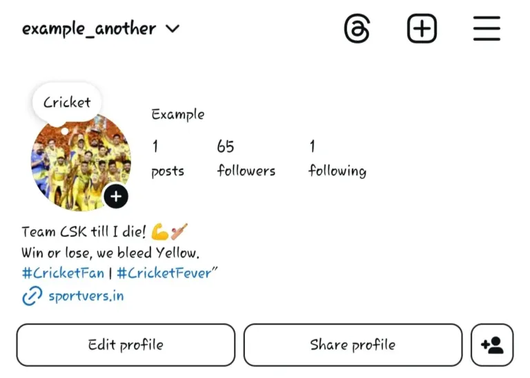 Cricket Bio’s for Instagram